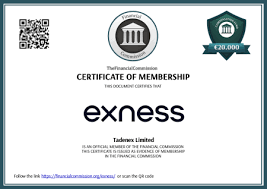 Comprehensive Guide to Exness Forex & CFDs Trading 3