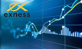 Discover the Benefits of Exness Web Platform Discover the Benefits of Exness Web Platform
