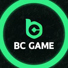 Understanding BC.Game Privacy Policy Your Data, Your Rights 2108347533